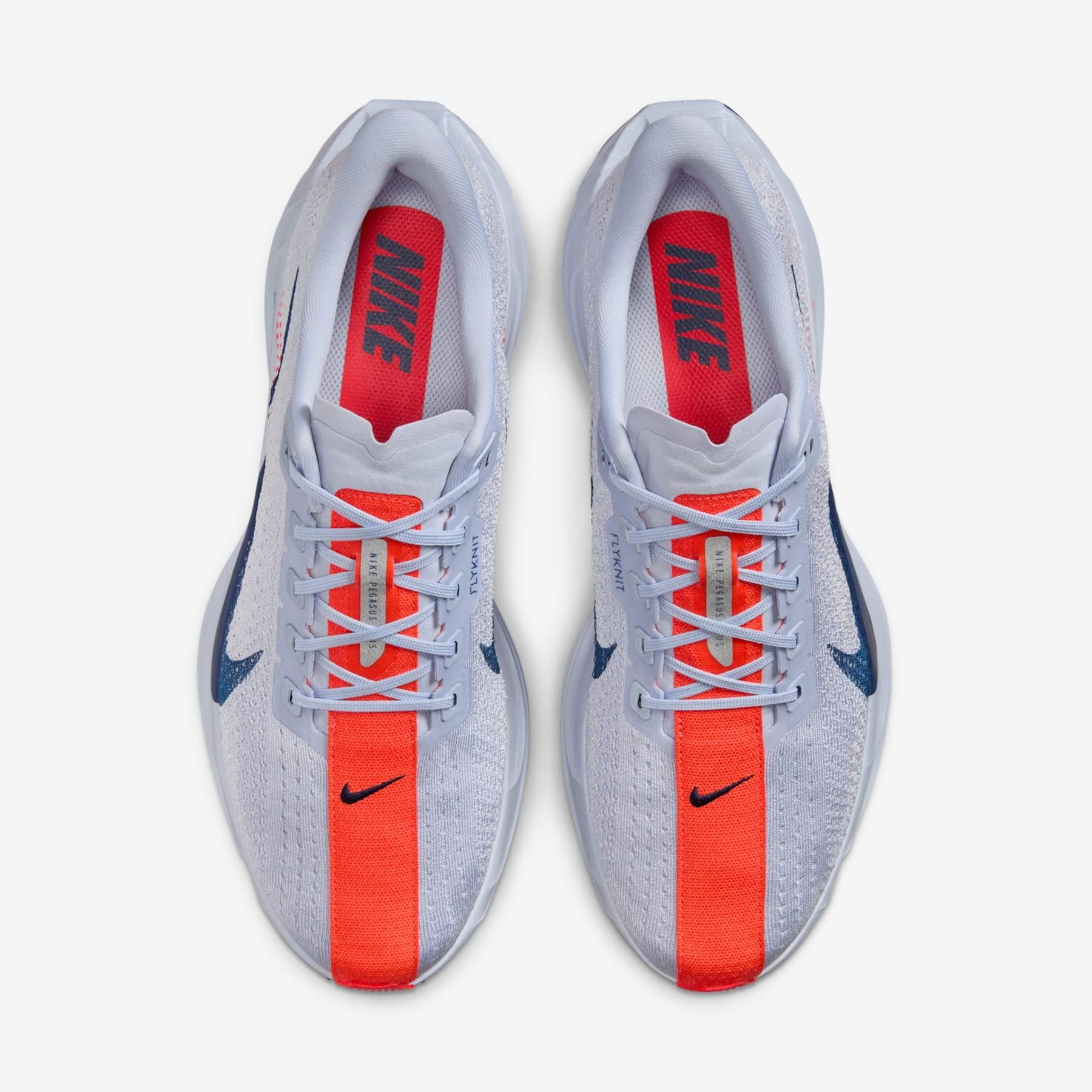 Tênis Nike Pegasus Plus Unissex