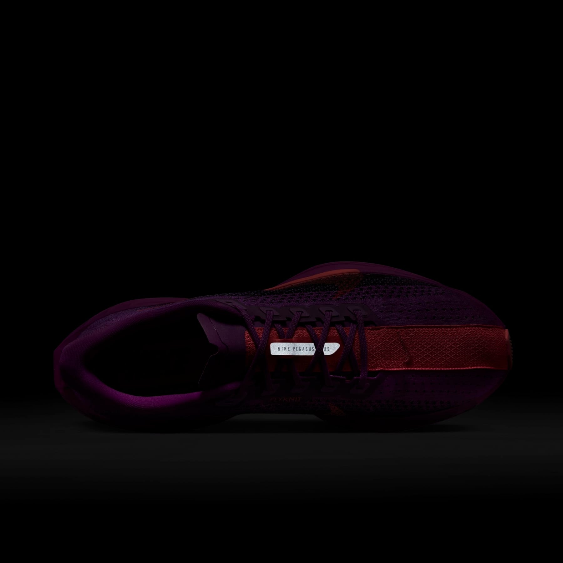 Tênis Nike Pegasus Plus Unissex