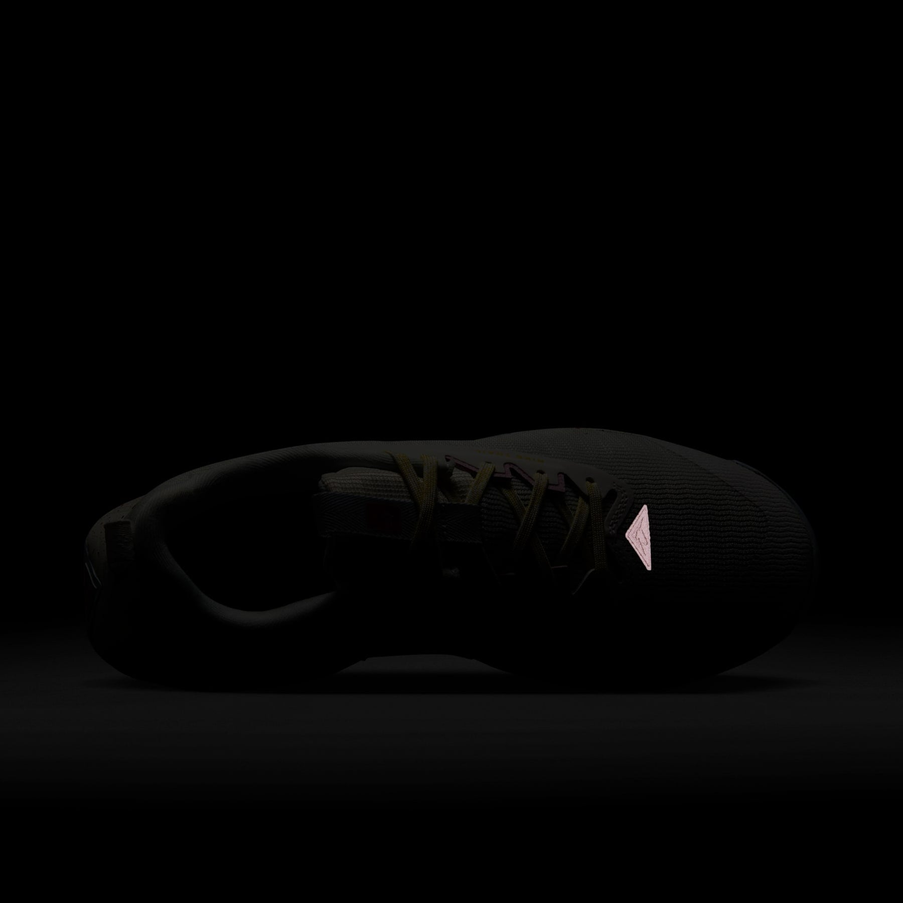 Tênis Nike Juniper Trail 3 Feminino
